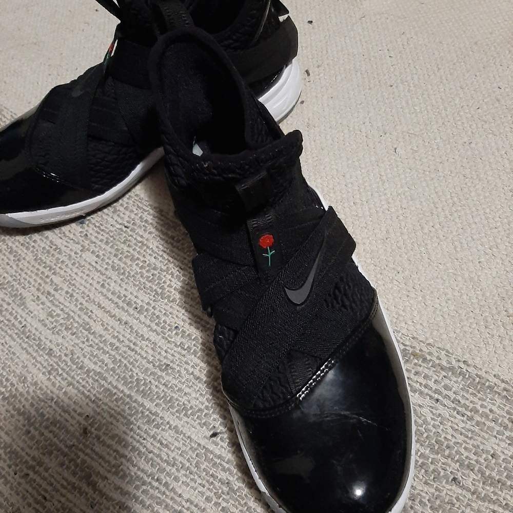 Women's or men's Lebron James
